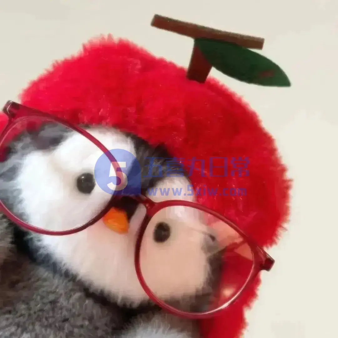 五喜丸的头像-五喜丸日常